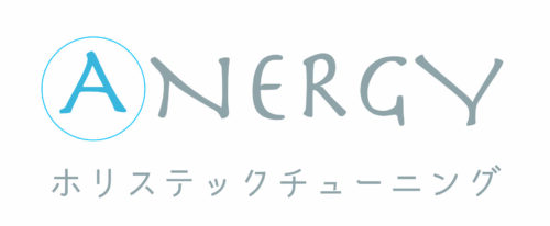 Anergyホリステックチューニング